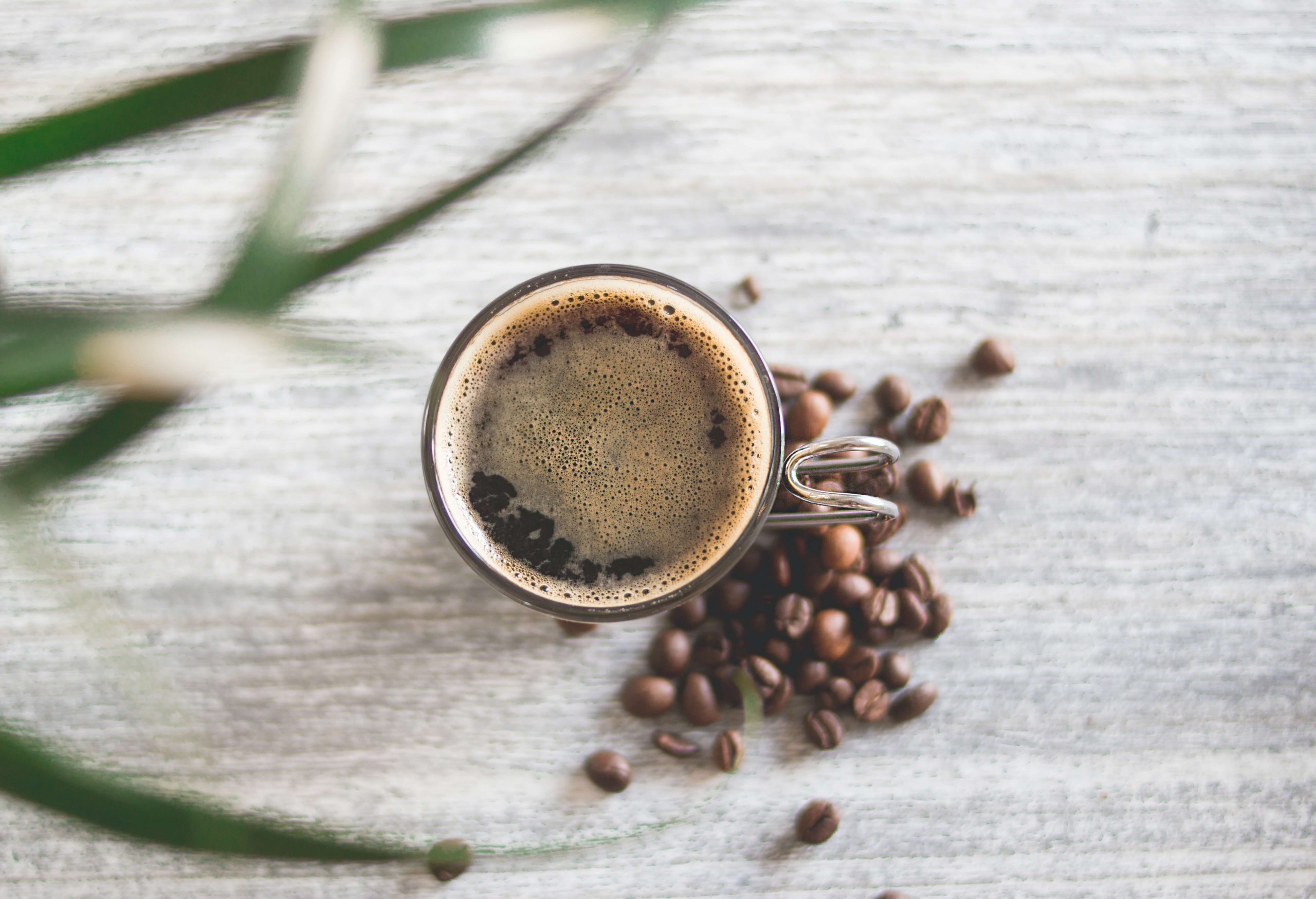 ¿Conoces los beneficios que aporta el café?